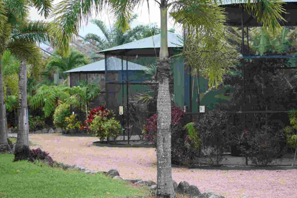 Daintree Wild Bed & Breakfast Bed & Breakfast Exterior photo