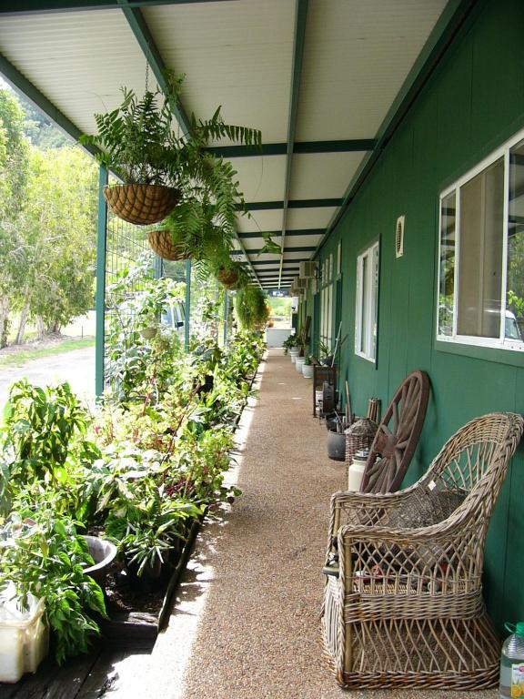 Daintree Wild Bed & Breakfast Bed & Breakfast Exterior photo