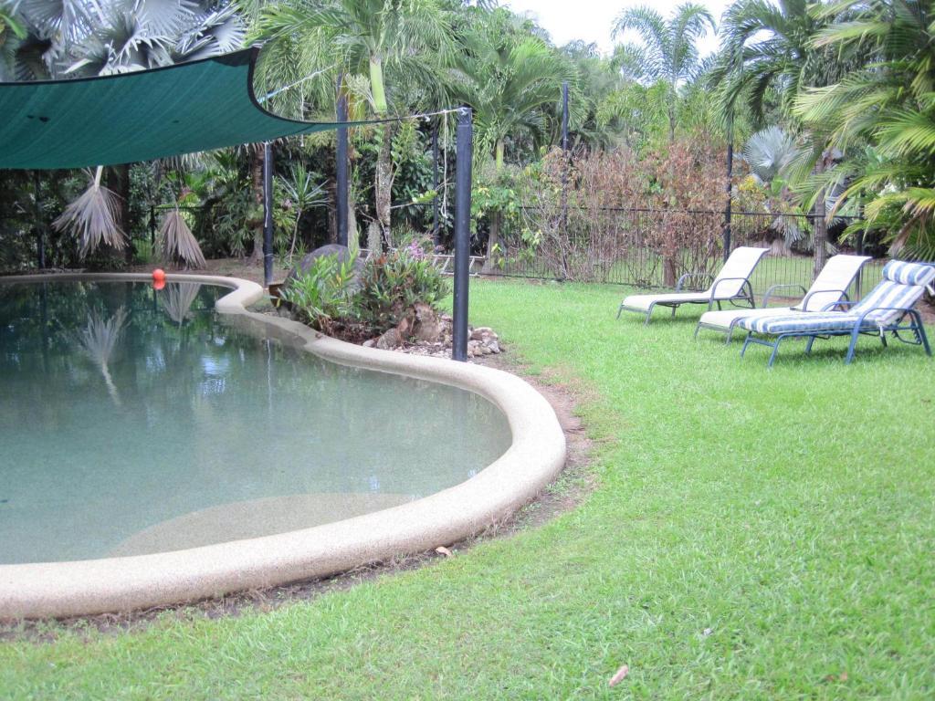 Daintree Wild Bed & Breakfast Bed & Breakfast Exterior photo