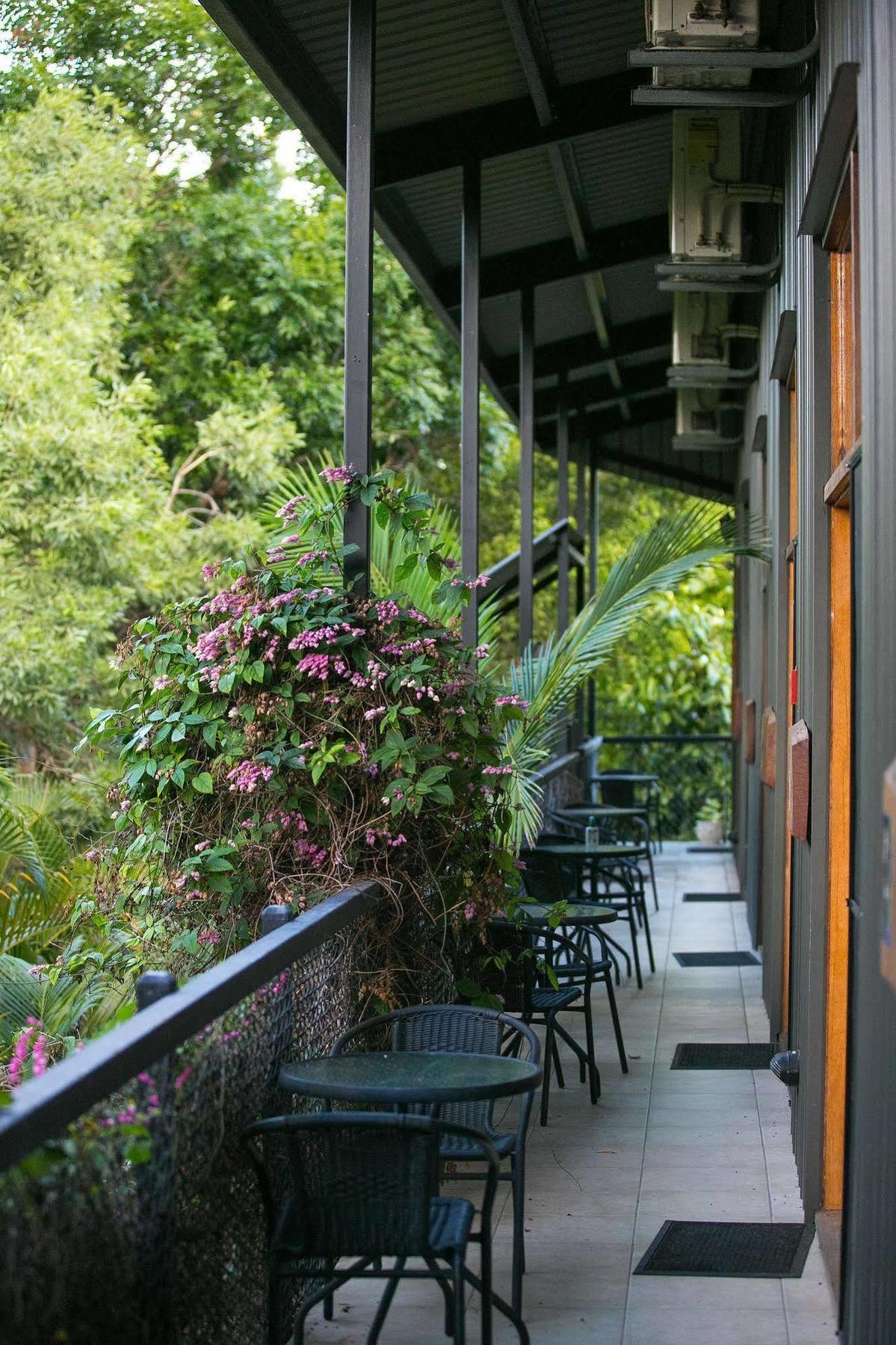 Daintree Wild Bed & Breakfast Bed & Breakfast Exterior photo