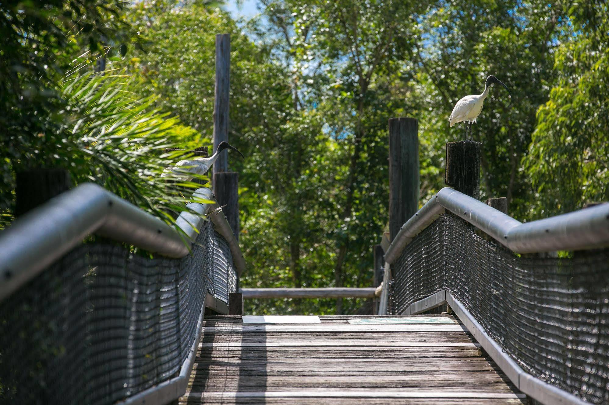 Daintree Wild Bed & Breakfast Bed & Breakfast Exterior photo